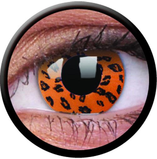 Colorvue Crazy Yellow Leopard (2 lenses/pack)-Crazy Contacts-UNIQSO Canada