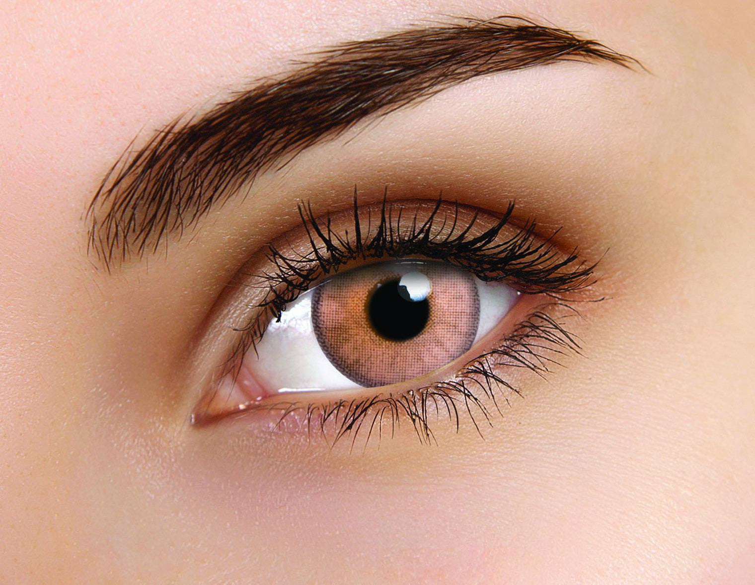 Flash Elixor Sinopia Brown (2 lenses/pack)-Colored Contacts-UNIQSO Canada