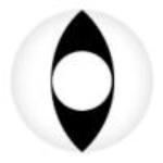 Coscon Crazy with Power - Viper (1 lens/pack)-Crazy Contacts-UNIQSO