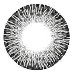 I-Codi RF Grey (1 lens/pack)-Colored Contacts-UNIQSO Canada