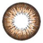 ICK Garnet Brown (1 lens/pack)-Colored Contacts-UNIQSO