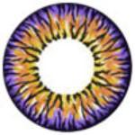 I.Fairy Casper Brown (1 lens/pack)-Colored Contacts-UNIQSO