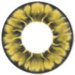 I.Fairy Tofi Gold (1 lens/pack)-Colored Contacts-UNIQSO