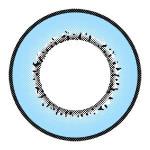 I.Fairy Moonlite Blue (1 lens/pack)-Colored Contacts-UNIQSO Canada