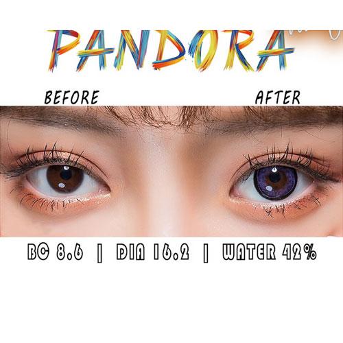 I.Fairy Pandora Violet colored contacts