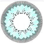 Kazzue Ice Queen (1 lens/pack)-Colored Contacts-UNIQSO Canada