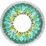 Kazzue Snow Elf (1 lens/pack)-Colored Contacts-UNIQSO Canada