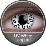 Phantasee UV Glow Crazy Lens White Leopard (2 lenses/pack)-UV Contacts-UNIQSO Canada