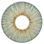 Urban Layer Angeles Grey (1 lens/pack)-Colored Contacts-UNIQSO Canada