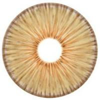 Urban Layer New York Brown (1 lens/pack)-Colored Contacts-UNIQSO Canada