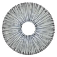 Urban Layer New York Grey - NEW (1 lens/pack)-Colored Contacts-UNIQSO