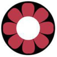 Sweety Crazy Pink Flower (1 lens/pack)-Crazy Contacts-UNIQSO
