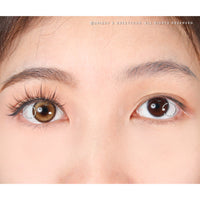 1 Day Sweety Deepveil Brown (2 or 10 lenses/pack)-Colored Contacts-UNIQSO Canada