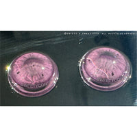 1 Day Sweety Fruit Juice Grape (2 or 10 lenses/pack)-Colored Contacts-UNIQSO Canada