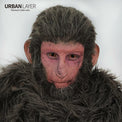 Sweety Orange Sclera Contacts - Orange Elf / Dark Phoenix (1 lens/pack)-Sclera Contacts-UNIQSO Canada