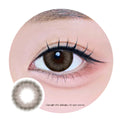 Kazzue Toric Perfect Choco (1 lens/pack)-Colored Contacts-UNIQSO