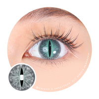 Sweety Crazy Gray Demon Eye / Cat Eye (New) (1 lens/pack)-Crazy Contacts-UNIQSO