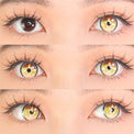 Sweety x Eyesinger Golden Starburst (2 lenses/pack)-Colored Contacts-UNIQSO Canada