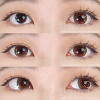 Kazzue Premier Caramel (1 lens/pack)-Colored Contacts-UNIQSO