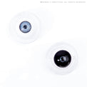 Sweety Mini Sclera Lens Black Titan (1 lens/pack)-Mini Sclera Contacts-UNIQSO