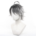 Cosplay Wig - CS 625C-Cosplay Wig-UNIQSO Canada