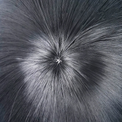 Cosplay Wig - CS 688B-Cosplay Wig-UNIQSO