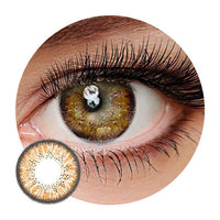 Dueba Toric - BT Brown (1 lens/pack)-Colored Contacts-UNIQSO Canada