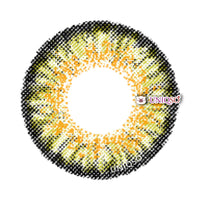 Dueba Toric KH2 Pure Hazel (1 lens/pack)-Colored Contacts-UNIQSO Canada