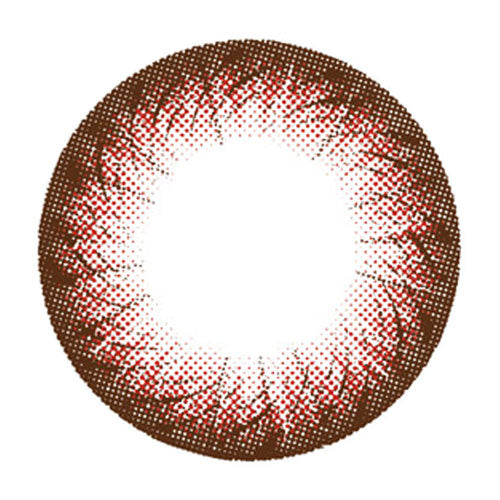 Dueba Toric - TR8 Brown (1 lens/pack)-Colored Contacts-UNIQSO Canada