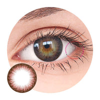 Dueba Toric - TR8 Brown (1 lens/pack)-Colored Contacts-UNIQSO Canada