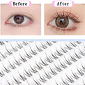 Foxy Sunny Cluster Natural Eyelashes-Fake Eyelash-UNIQSO Canada