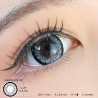 Kawayii A-Max Grey (1 lens/pack)-Colored Contacts-UNIQSO Canada