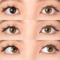 Kazzue Basic Pure Brown (1 lens/pack)-Colored Contacts-UNIQSO Canada