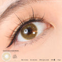 Kazzue Basic Pure Brown (1 lens/pack)-Colored Contacts-UNIQSO Canada