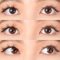 Kazzue Basic Pure Choco (1 lens/pack)-Colored Contacts-UNIQSO Canada