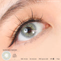 Kazzue Basic Pure Gray (1 lens/pack)-Colored Contacts-UNIQSO Canada