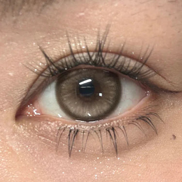 Kazzue Moonveil Timeless Brown (2 lenses/pack)-Colored Contacts-UNIQSO Canada
