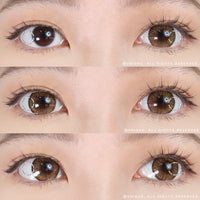 Kazzue Premier Brown colored contacts