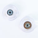 Kazzue Premier Brown colored contacts