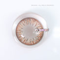 Kazzue Premier Caramel (1 lens/pack)-Colored Contacts-UNIQSO Canada