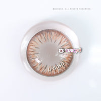 Kazzue Premier Caramel (1 lens/pack)-Colored Contacts-UNIQSO Canada