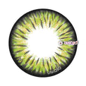 Kazzue Premier Green (1 lens/pack)-Colored Contacts-UNIQSO Canada