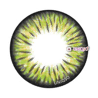 Kazzue Premier Green (1 lens/pack)-Colored Contacts-UNIQSO Canada