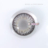Kazzue Premier Grey (1 lens/pack)-Colored Contacts-UNIQSO Canada