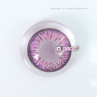 Kazzue Premier Violet (1 lens/pack)-Colored Contacts-UNIQSO Canada