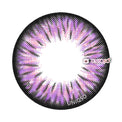 Kazzue Premier Violet (1 lens/pack)-Colored Contacts-UNIQSO Canada
