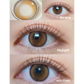 Kazzue Toric Inspire Brown (1 lens/pack)-Colored Contacts-UNIQSO Canada
