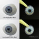 Urban Layer Las Vegas FE Ash Blue (1 lens/pack)-Colored Contacts-UNIQSO