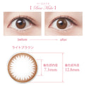SEED Eye Coffret 1 Day UV M Clear Accent - Base Make-Colored Contacts-UNIQSO Canada