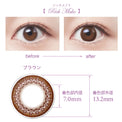 SEED Eye Coffret 1 Day UV M Clear Accent - Rich Make (For Astigmatism)-Colored Contacts-UNIQSO Canada